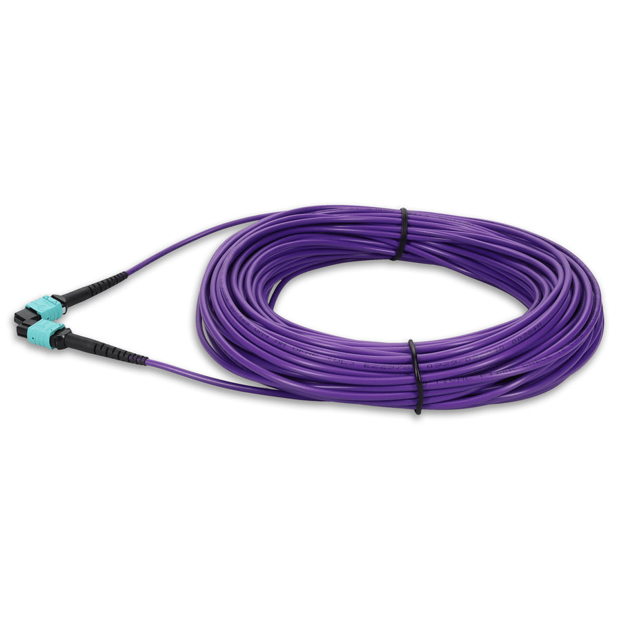 25m MPO/UPC to MPO/UPC Purple OM4 OFNR (Riser-Rated) 12-Strand Fiber Patch Cable