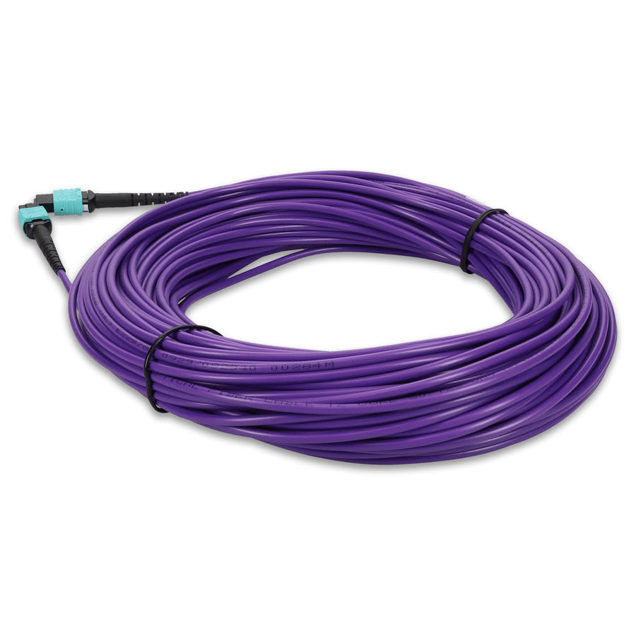 25m MPO/UPC to MPO/UPC Purple OM4 OFNR (Riser-Rated) 12-Strand Fiber Patch Cable