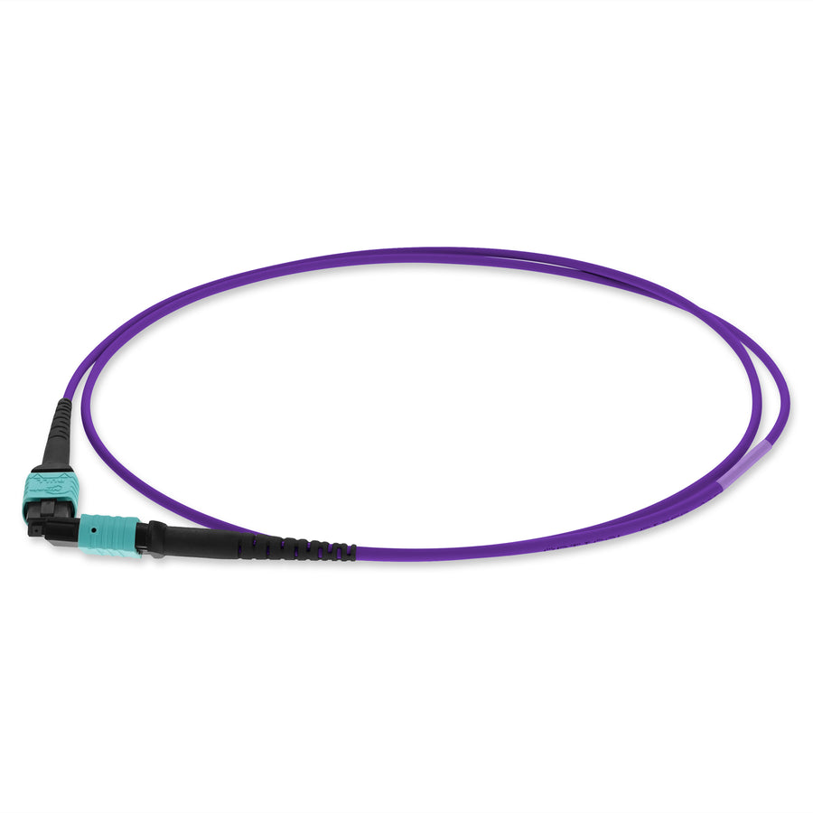 1m MPO/UPC to MPO/UPC Purple OM4 OFNR (Riser-Rated) 12-Strand Fiber Patch Cable
