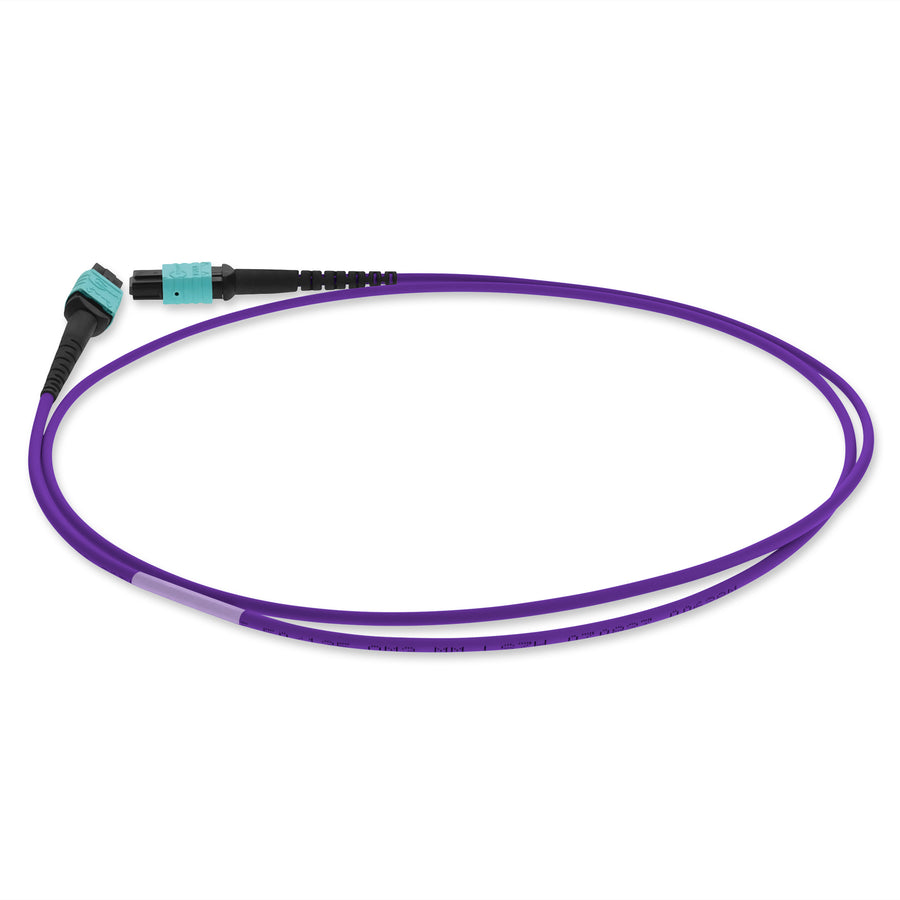 1m MPO/UPC to MPO/UPC Purple OM4 OFNR (Riser-Rated) 12-Strand Fiber Patch Cable