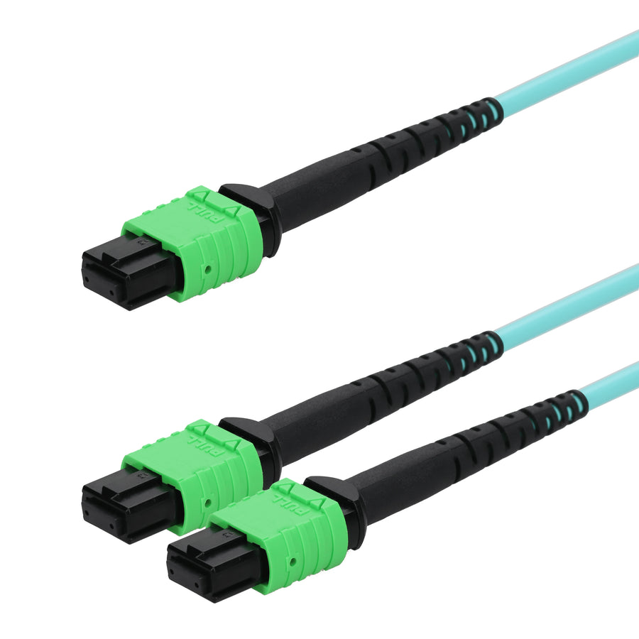  10m MPO/APC to 2xMPO-12/APC Aqua OM4 LSZH 12-Strand Fiber Patch Cable