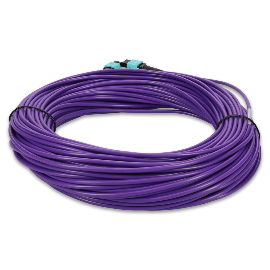  25m MPO/UPC to MPO/UPC Purple OM4 OFNR (Riser-Rated) 12-Strand Fiber Patch Cable